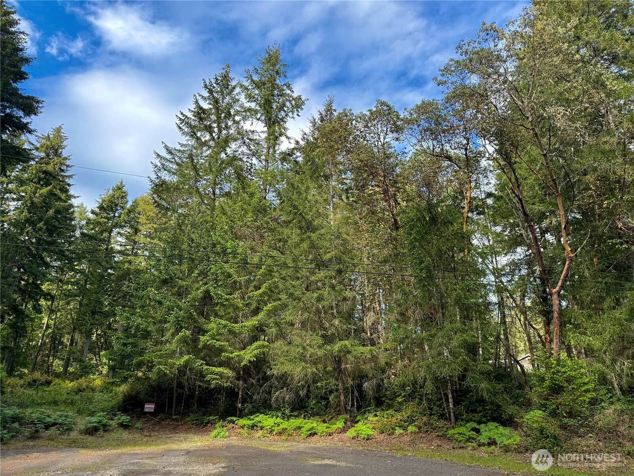 12027 Country Club Drive - Photo 1