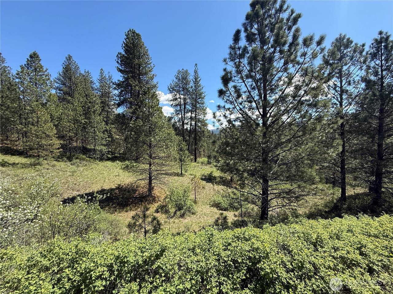 0 TBD Fir Lane - Photo 1