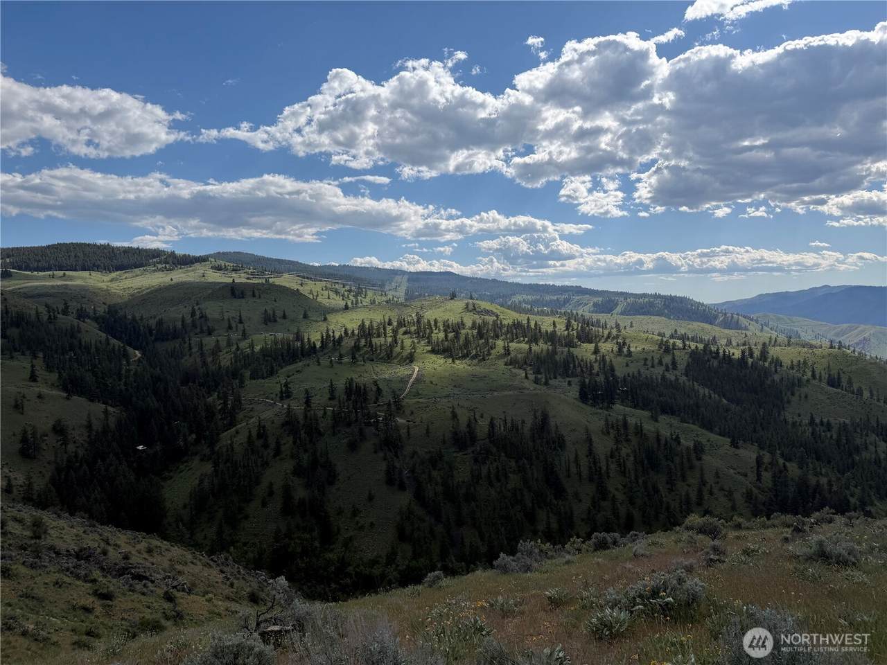 0 Tyee View Loop - Photo 1