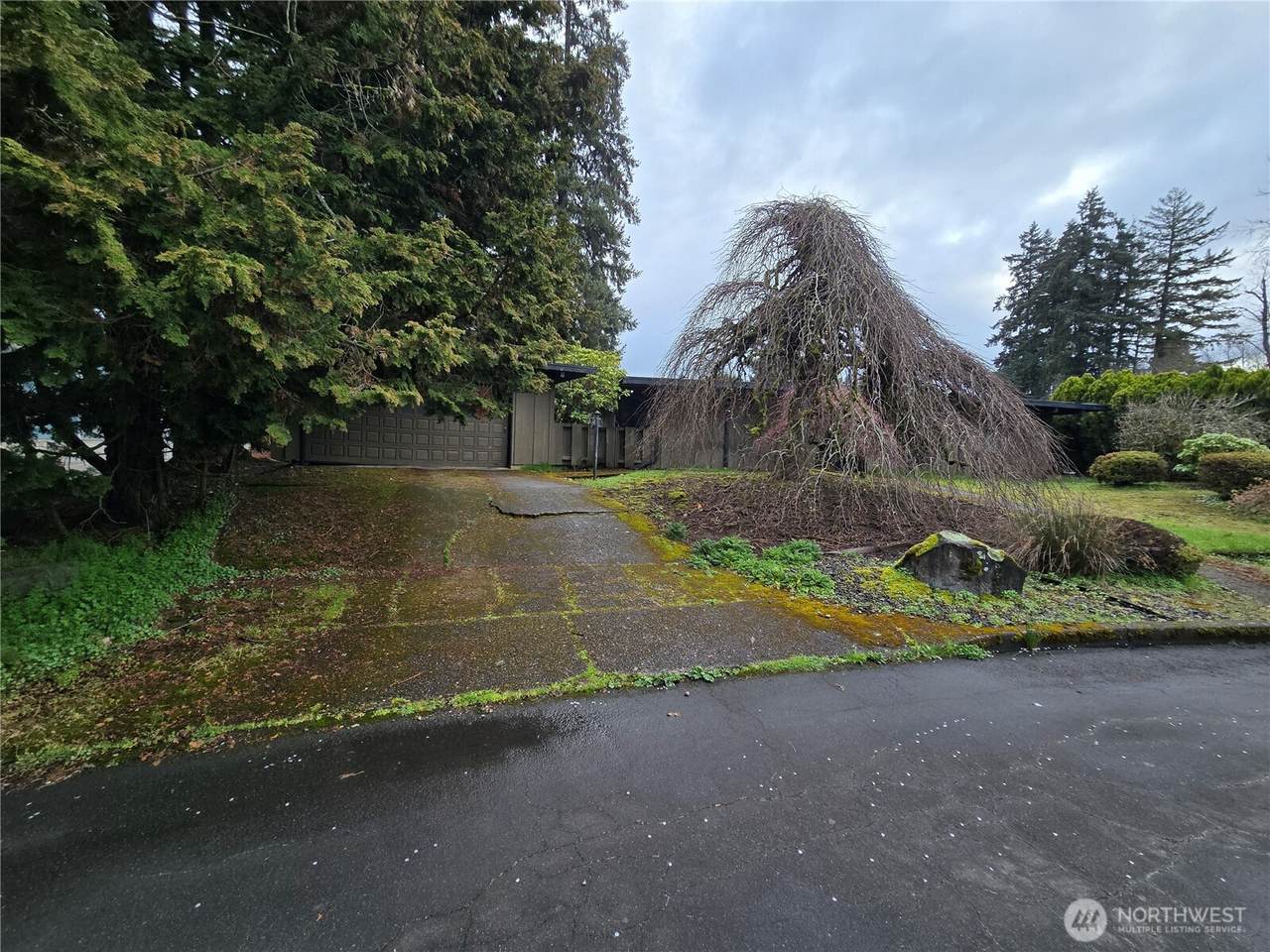 7908 69th Street - Photo 1