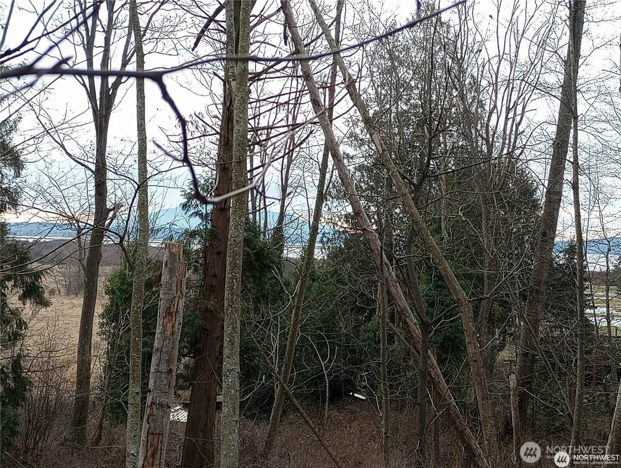 0 Red River Road - Photo 1