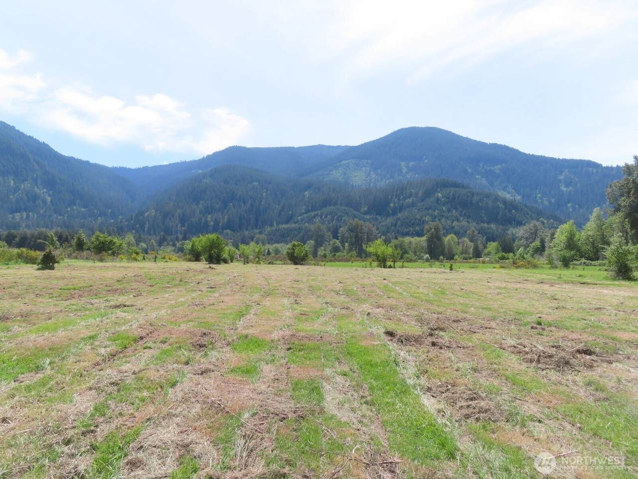 295 River Ranch Road - Photo 1