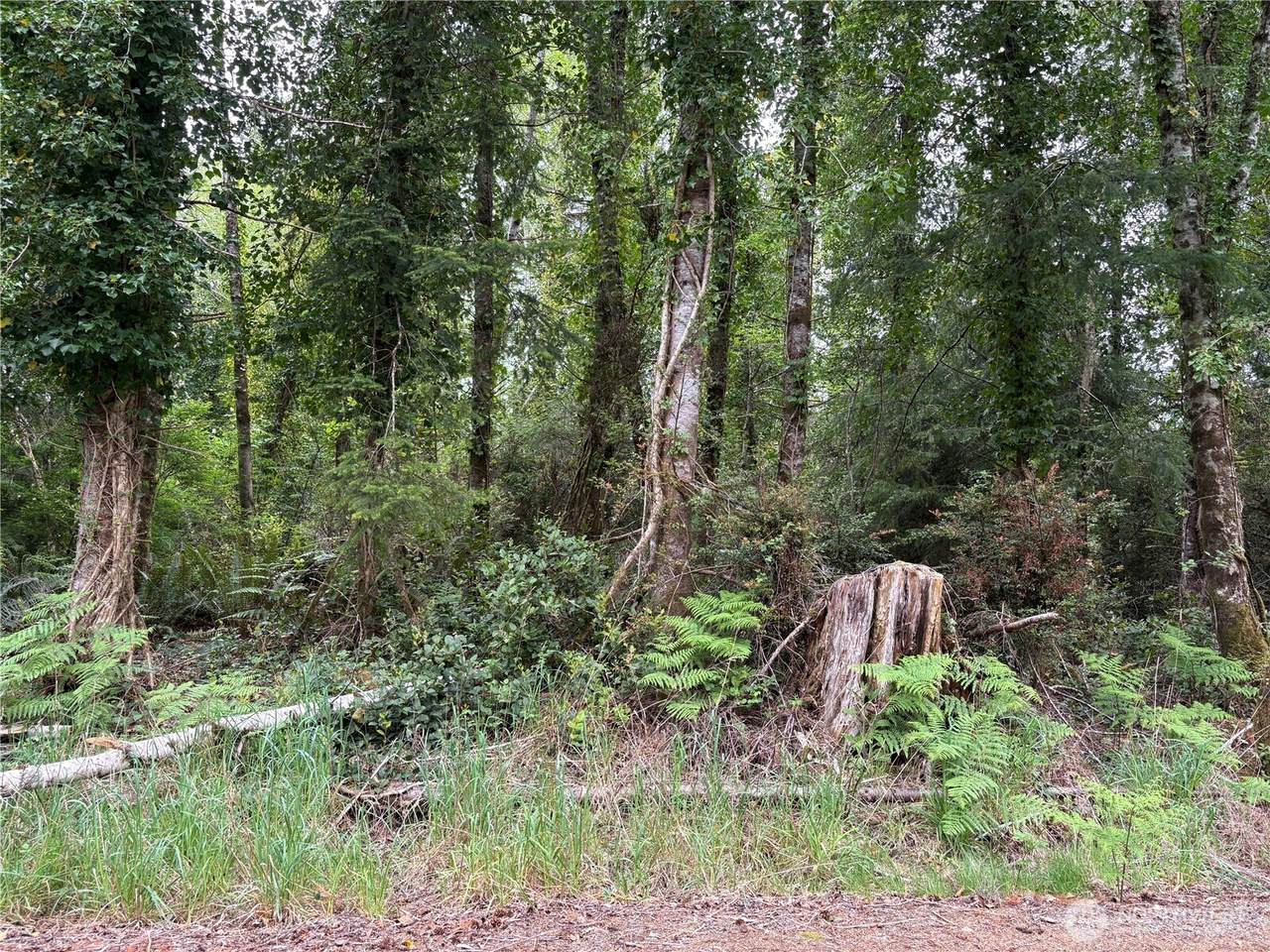 https://bt-photos.global.ssl.fastly.net/nwmls/1280_boomver_1_2519239-1.jpg