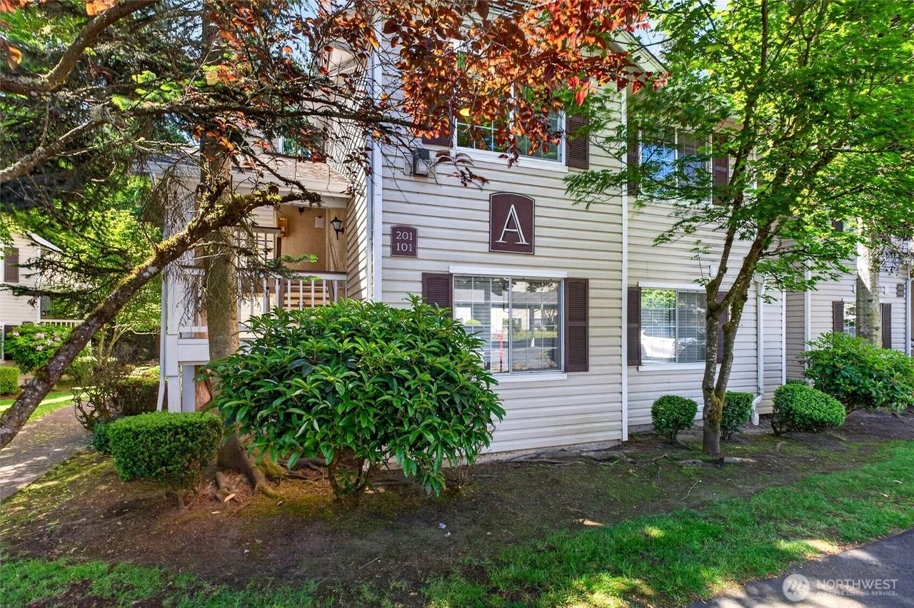19230 Forest Park Drive - Photo 1