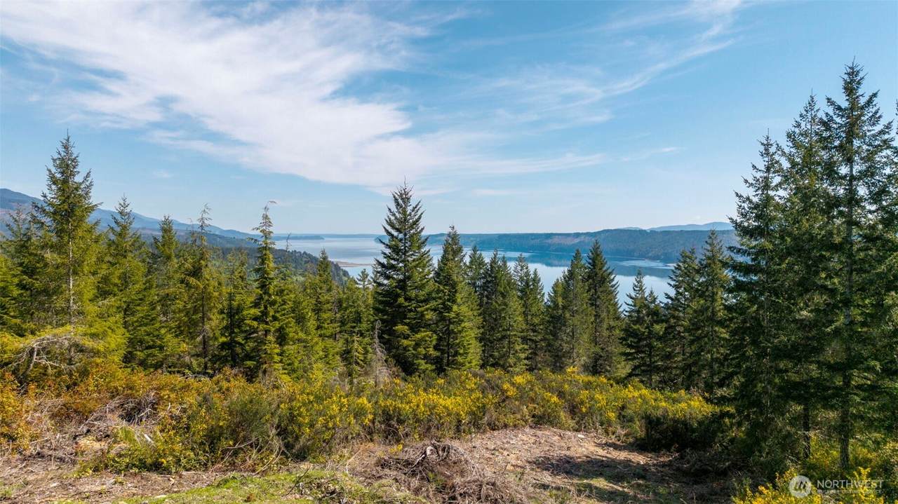 778899 Hamma Ridge Drive - Photo 1