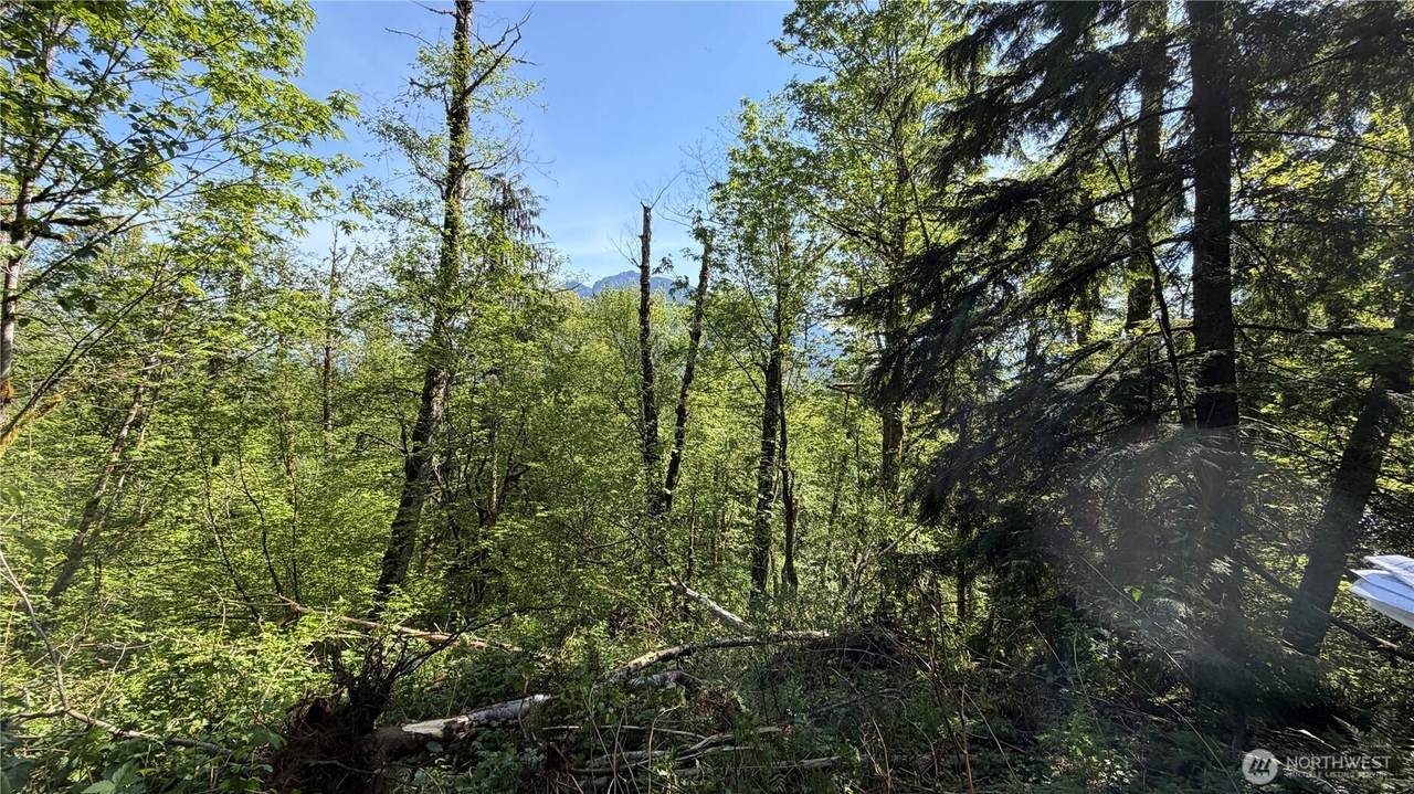 135 Xx 415th Way - Photo 1