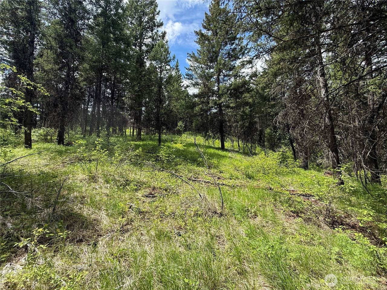 0 Knob Hill Road - Photo 1