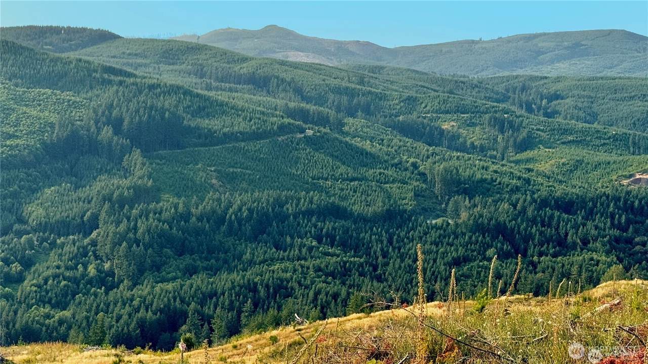 3727 Little Kalama River Road - Photo 1