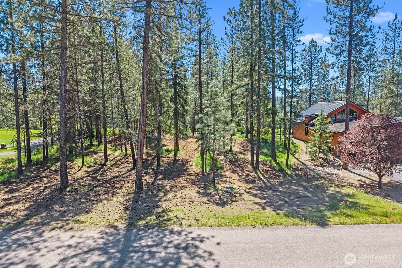 0 Lot 24 Couples Pl - Photo 1