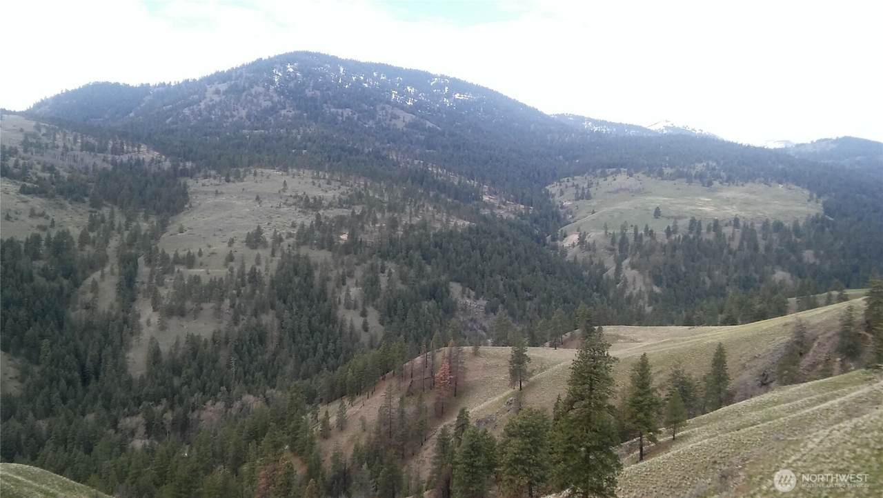 0 Tbd N Fork Salmon Creek Road - Photo 1