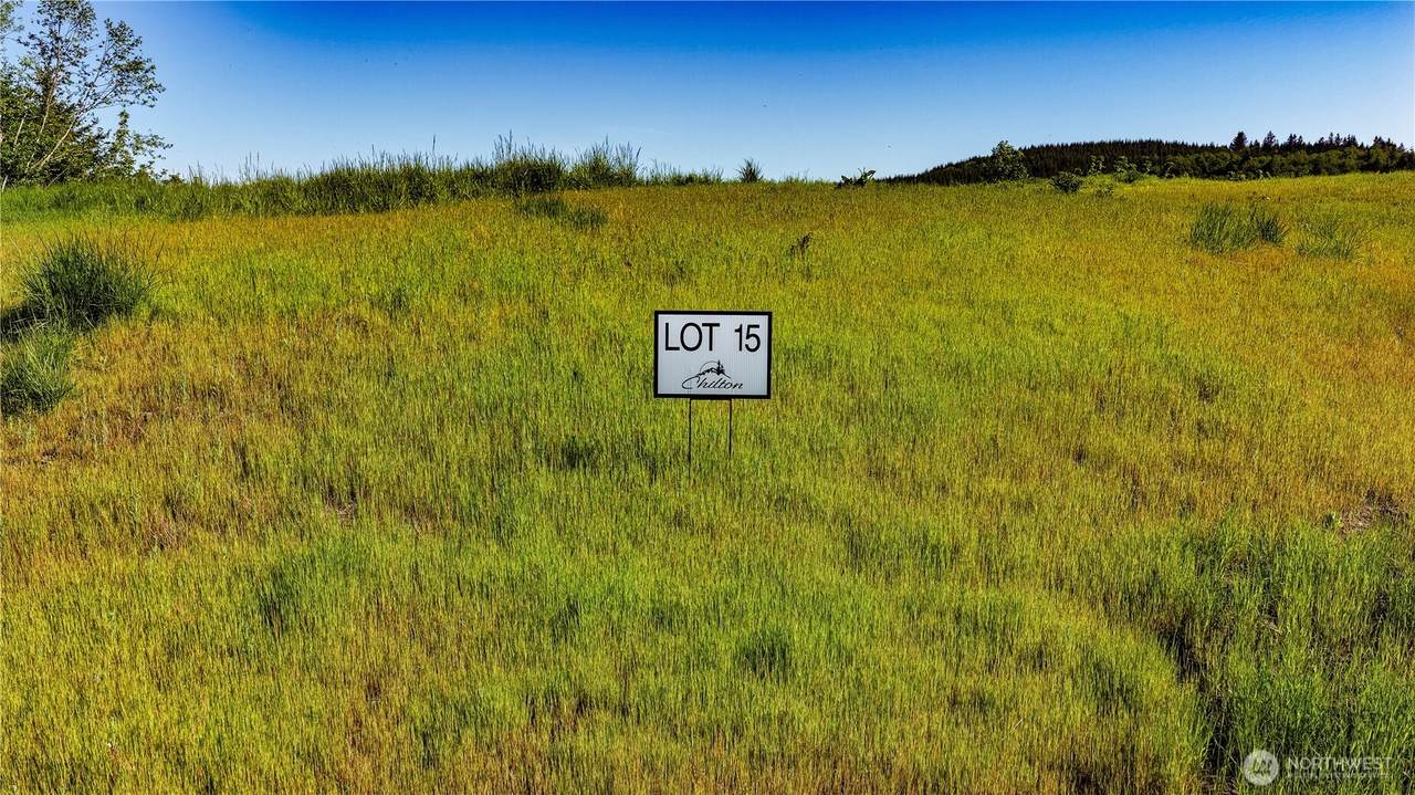 0 Carmen Sylvia Drive - Photo 1
