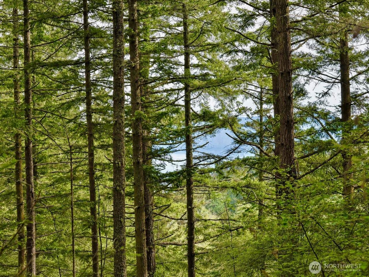 https://bt-photos.global.ssl.fastly.net/nwmls/1280_boomver_1_2521336-1.jpg