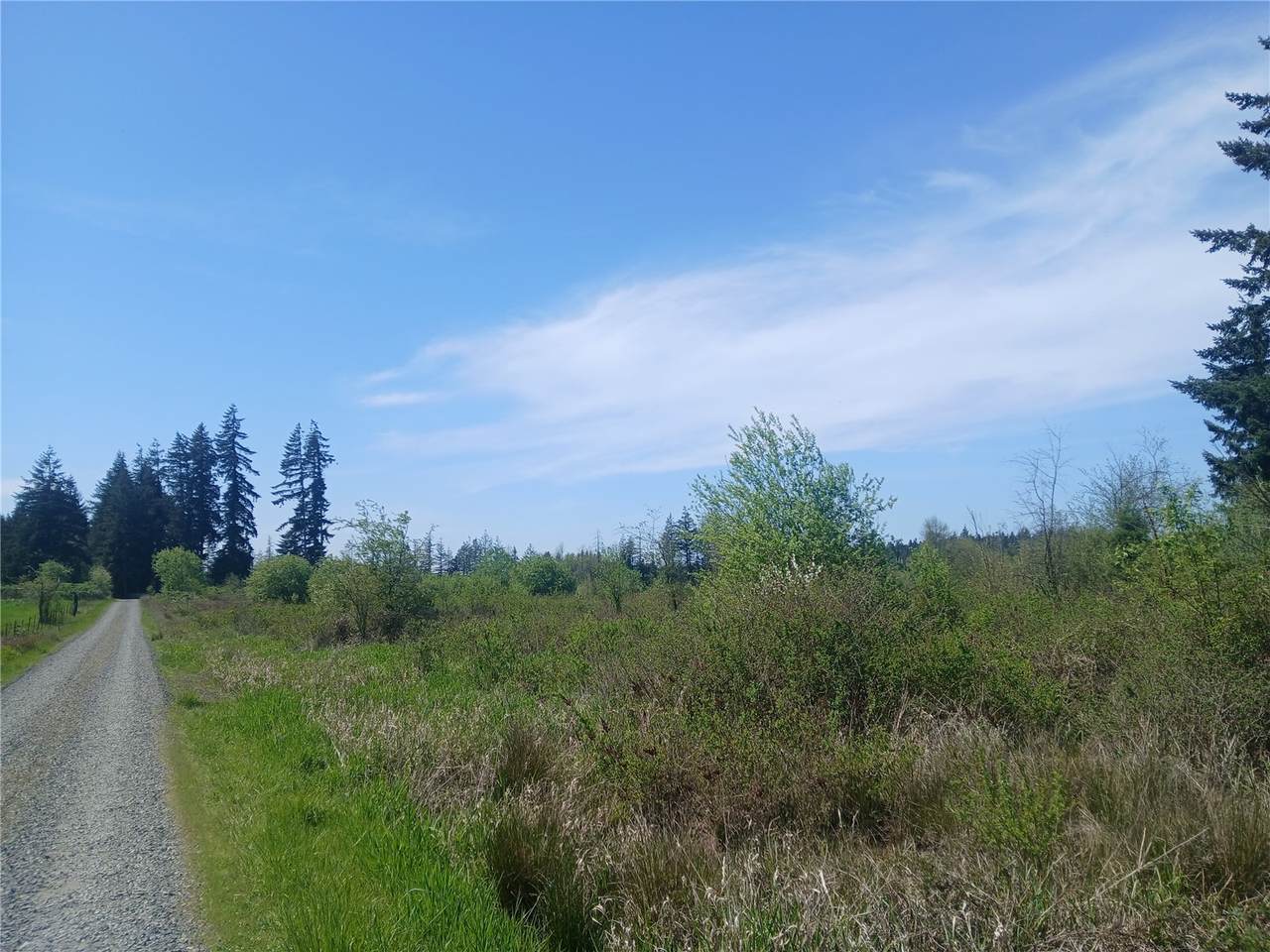 456 Meier Road - Photo 1
