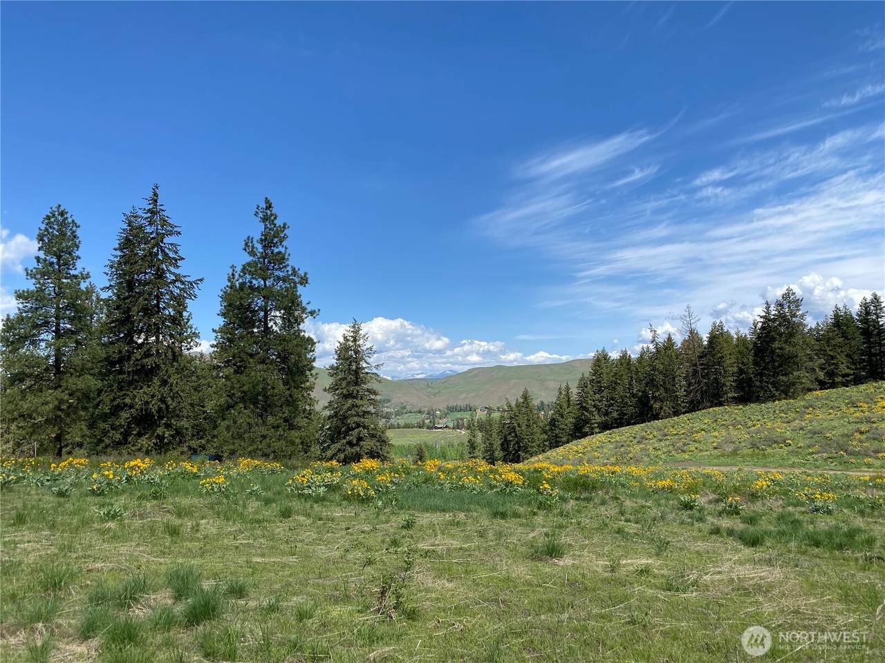 102 Elbow Canyon Road - Photo 1