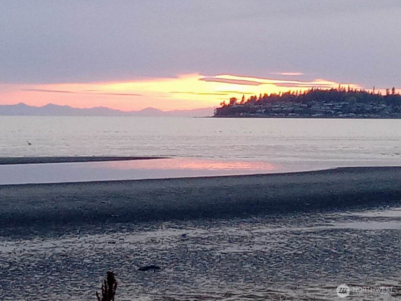 7806 Birch Bay Drive - Photo 1