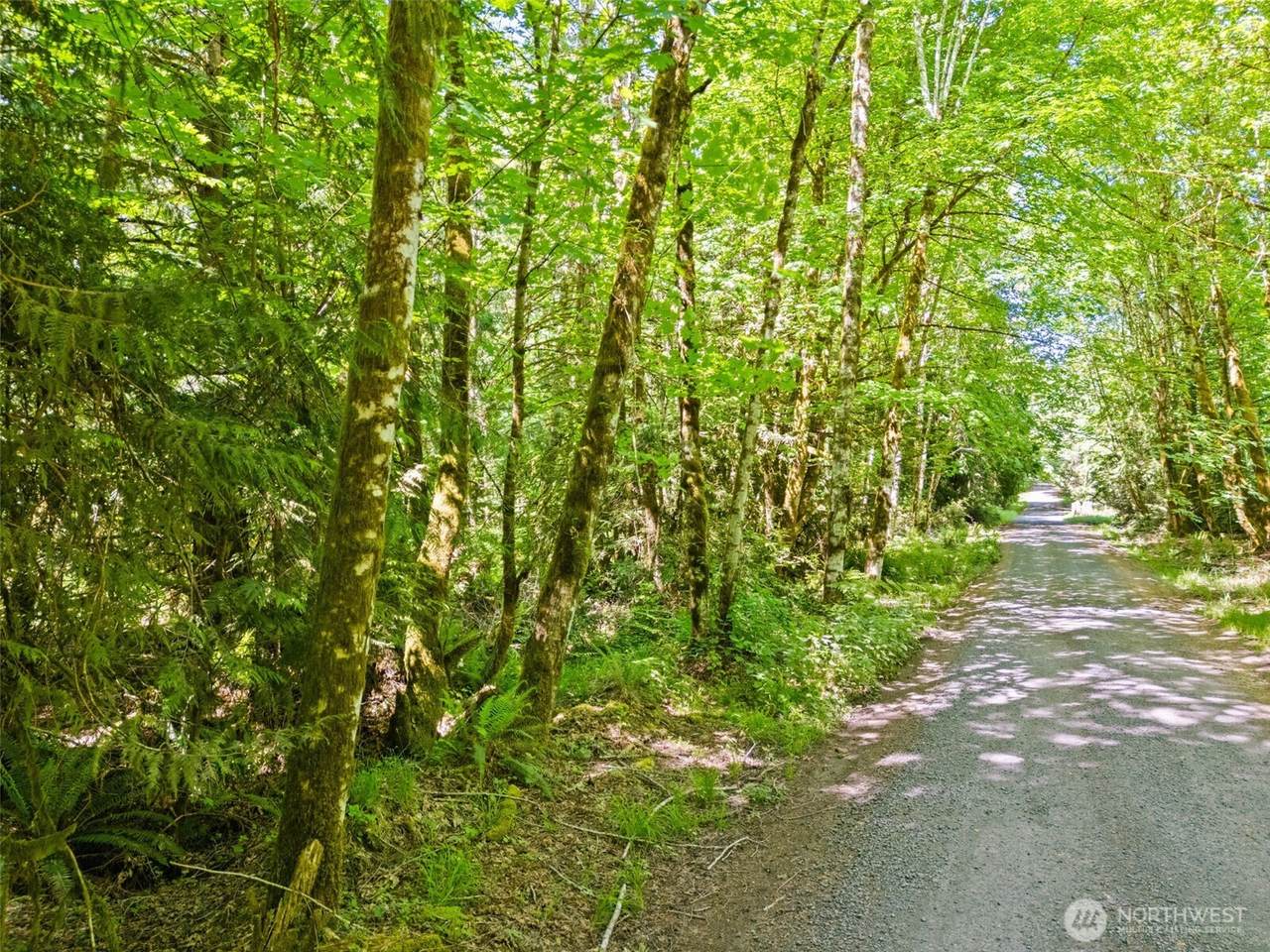 https://bt-photos.global.ssl.fastly.net/nwmls/1280_boomver_1_2522229-1.jpg