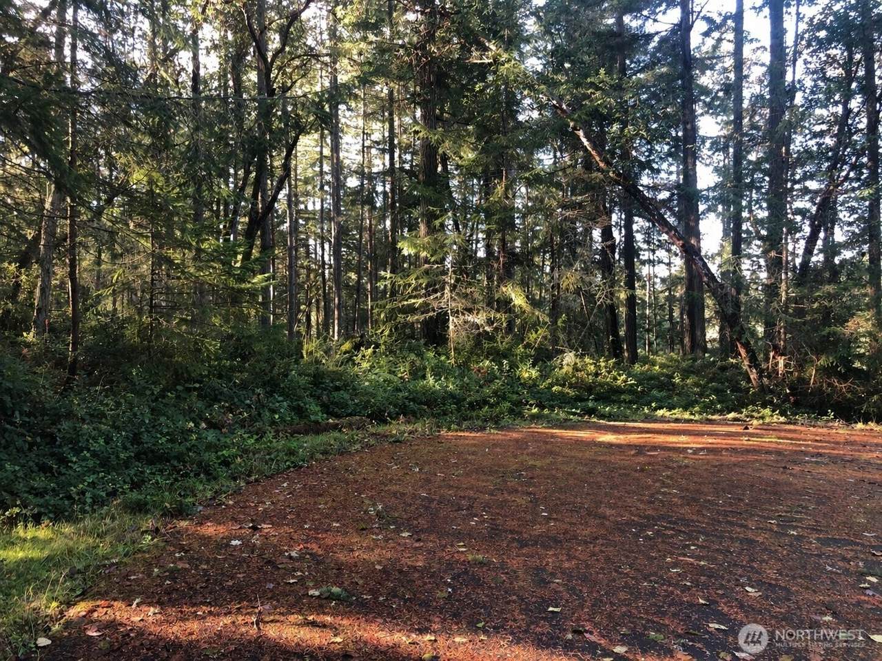 9501 116th Avenue Ct - Photo 1