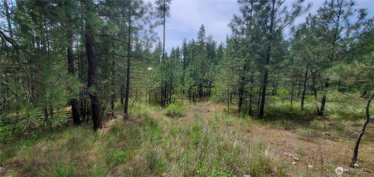 6 Lot Okanogan River Ranches Div 1 - Photo 1