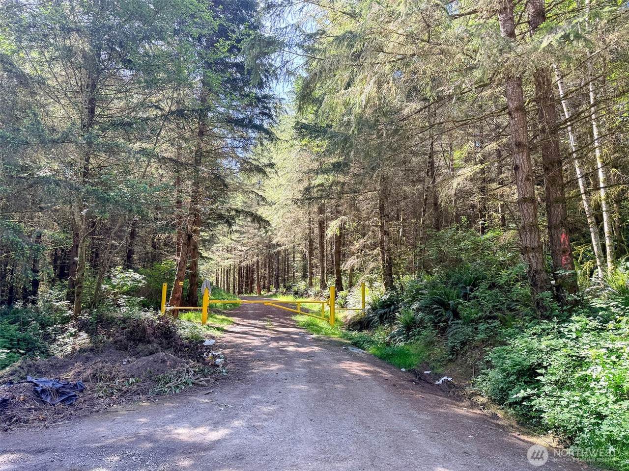1 xxx Andy Cooper Road - Photo 1