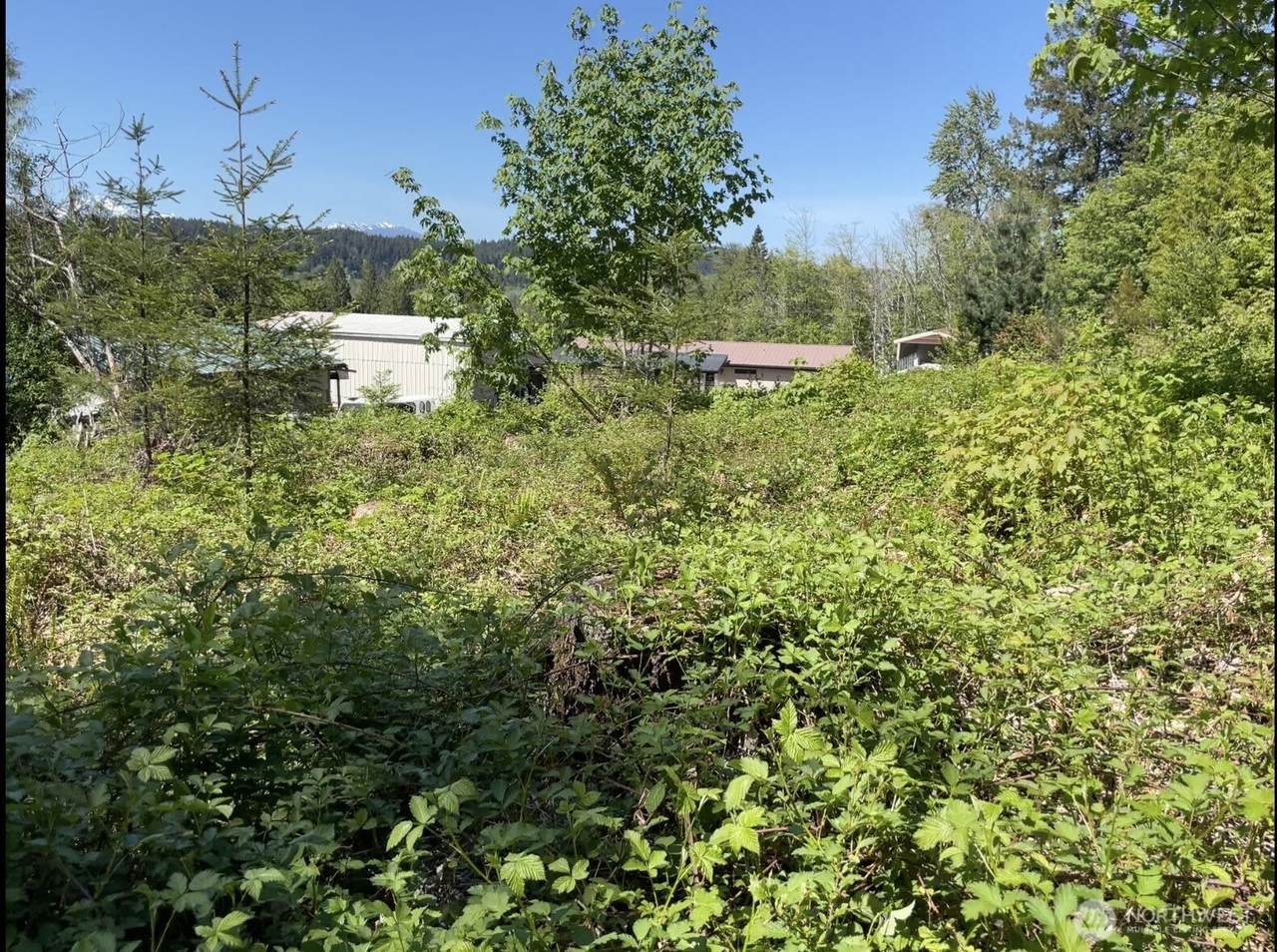 0 LOT State Route 3 - Photo 1