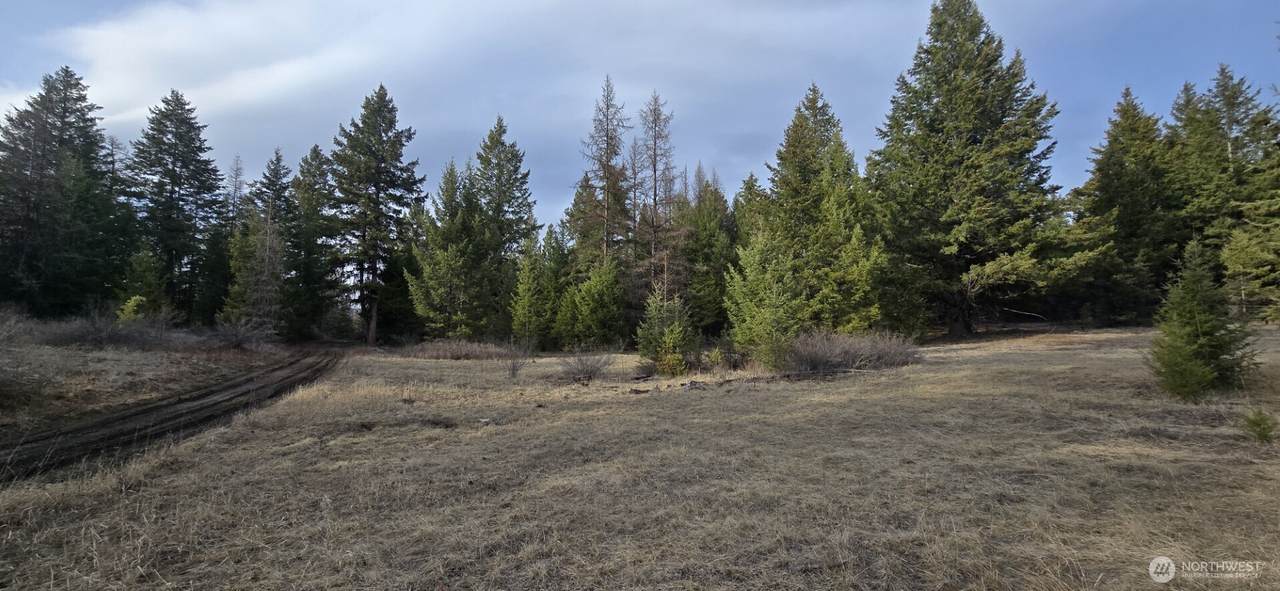 99 Prior Loop Road - Photo 1