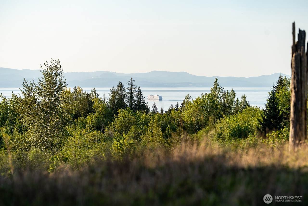 405 Elk Run Trail - Photo 1