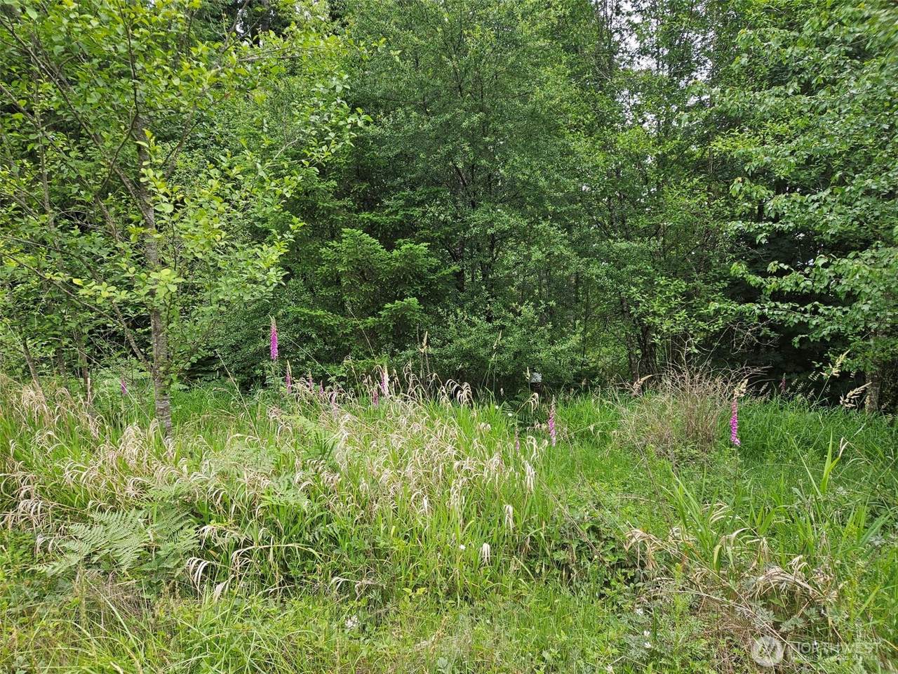 5033 Polehn Road - Photo 1
