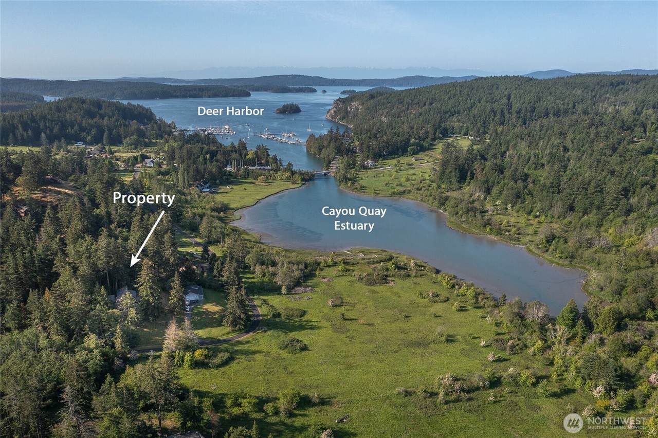 402 Cayou Valley Road - Photo 1