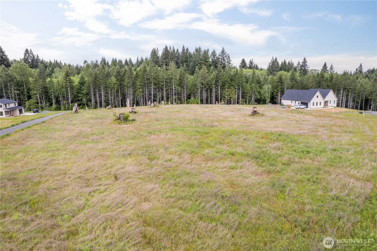 214 Ash Mountain Drive - Photo 1