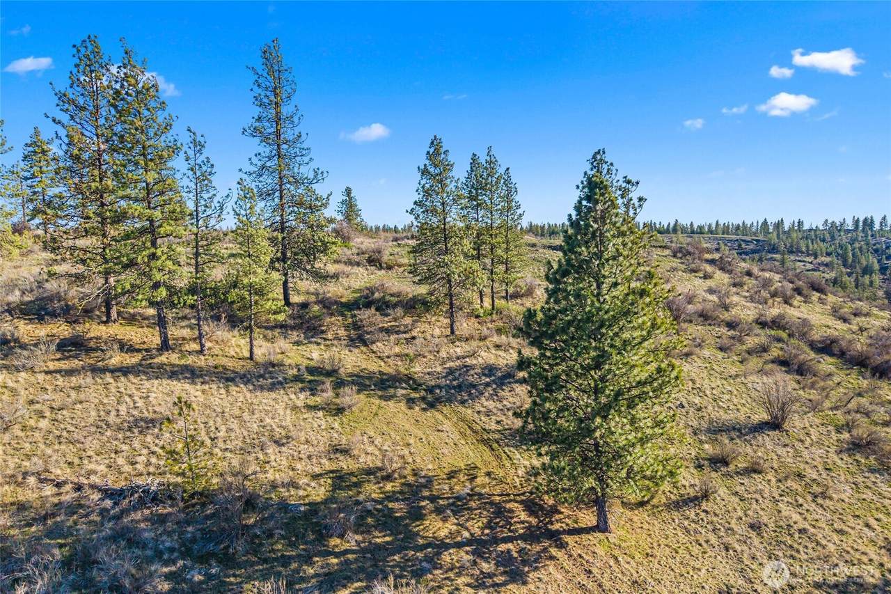 27220 Underwood Canyon - Photo 1