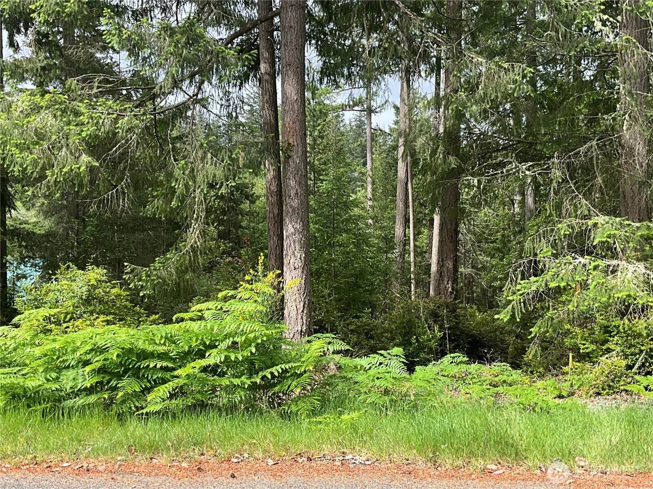 11018 Matthews Way - Photo 1