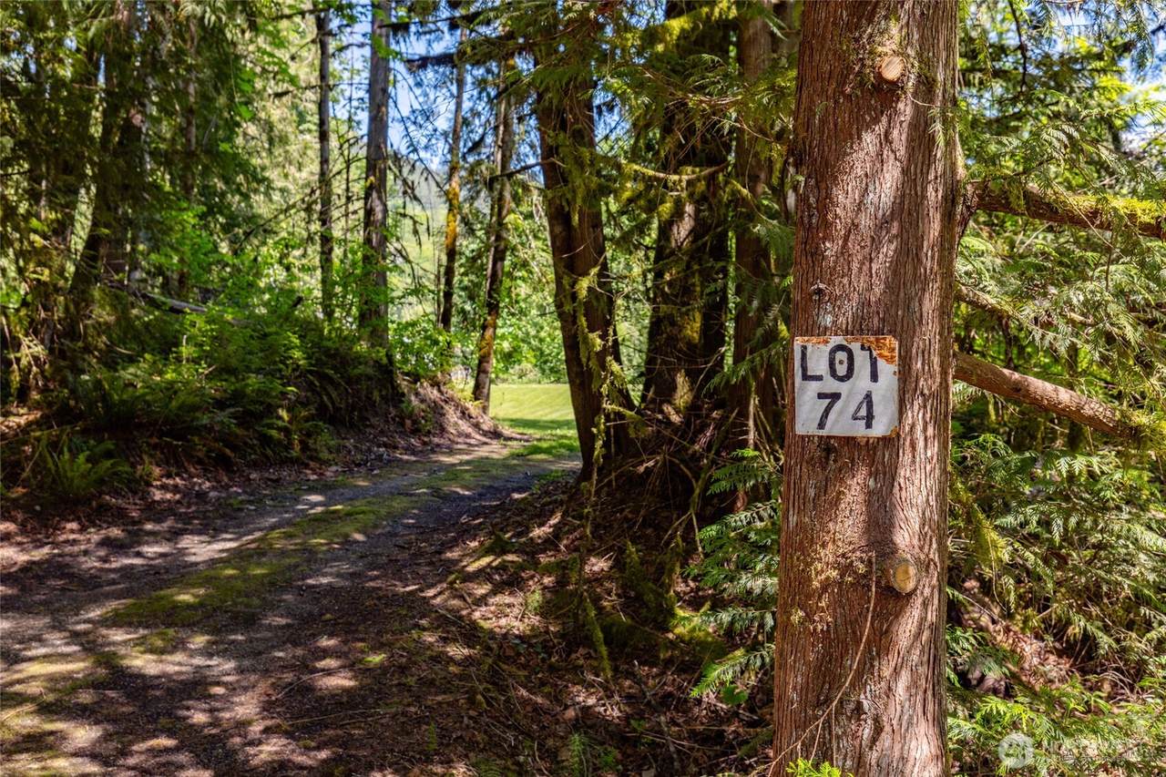 0 Lot 74 Skagit View Drive - Photo 1