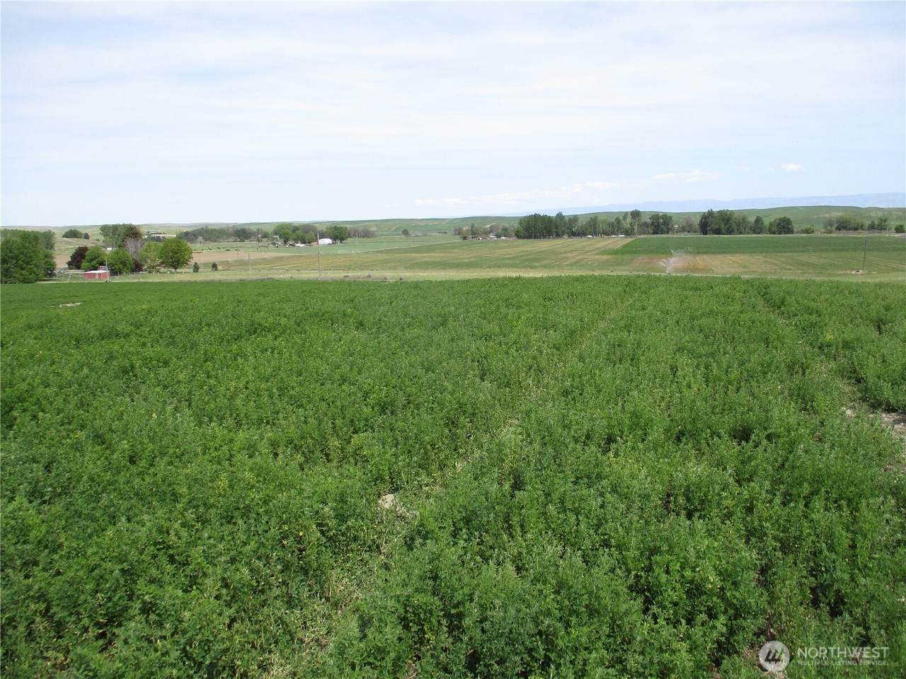 0 nka Ash Hollow Road - Photo 1