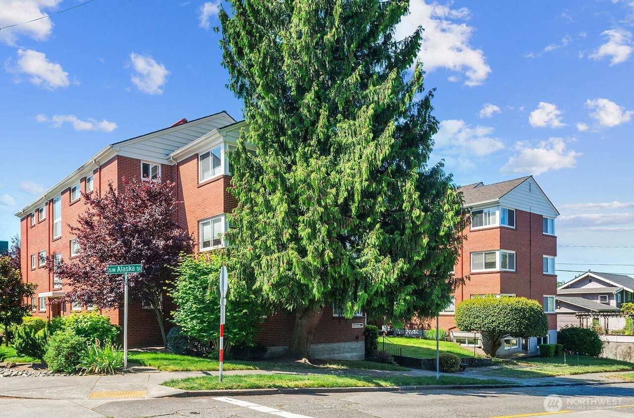 4407 Alaska Street - Photo 1