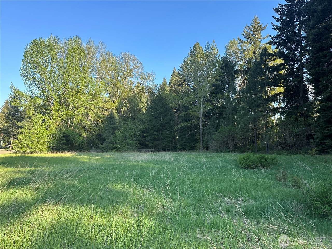 0 Beaver Lane - Photo 1