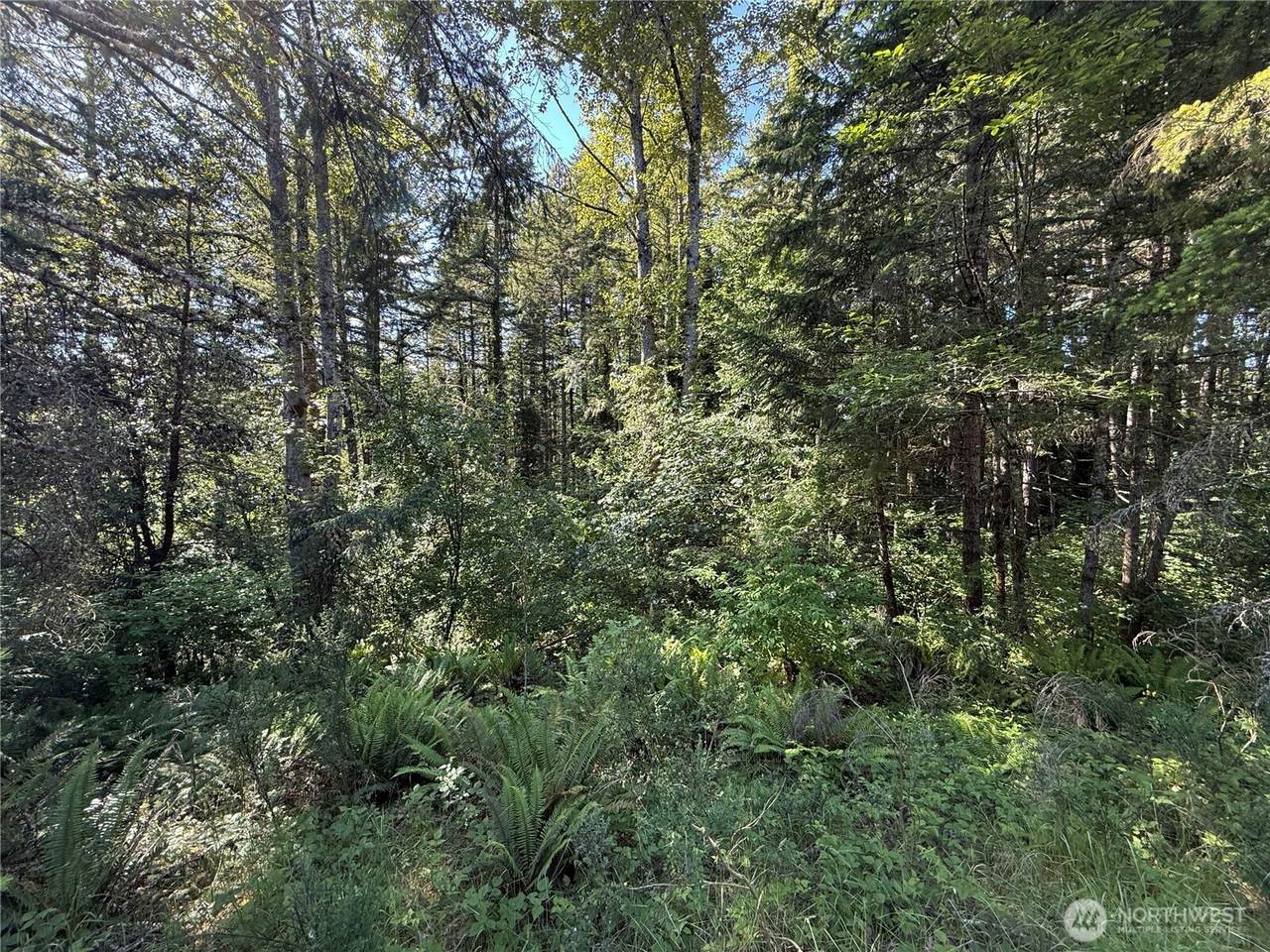 155 xx 62nd Avenue - Photo 1