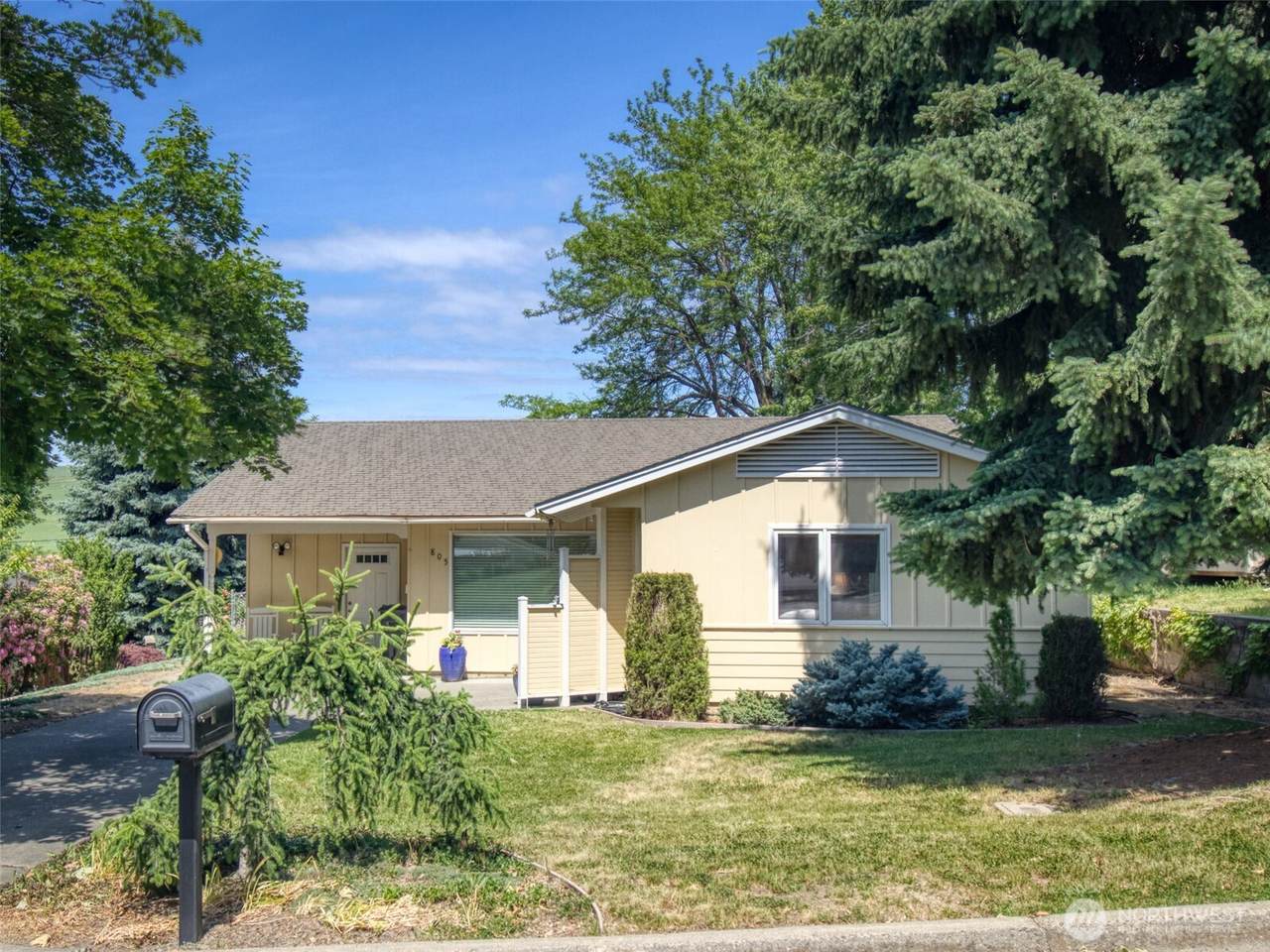 805 Spring Street - Photo 1