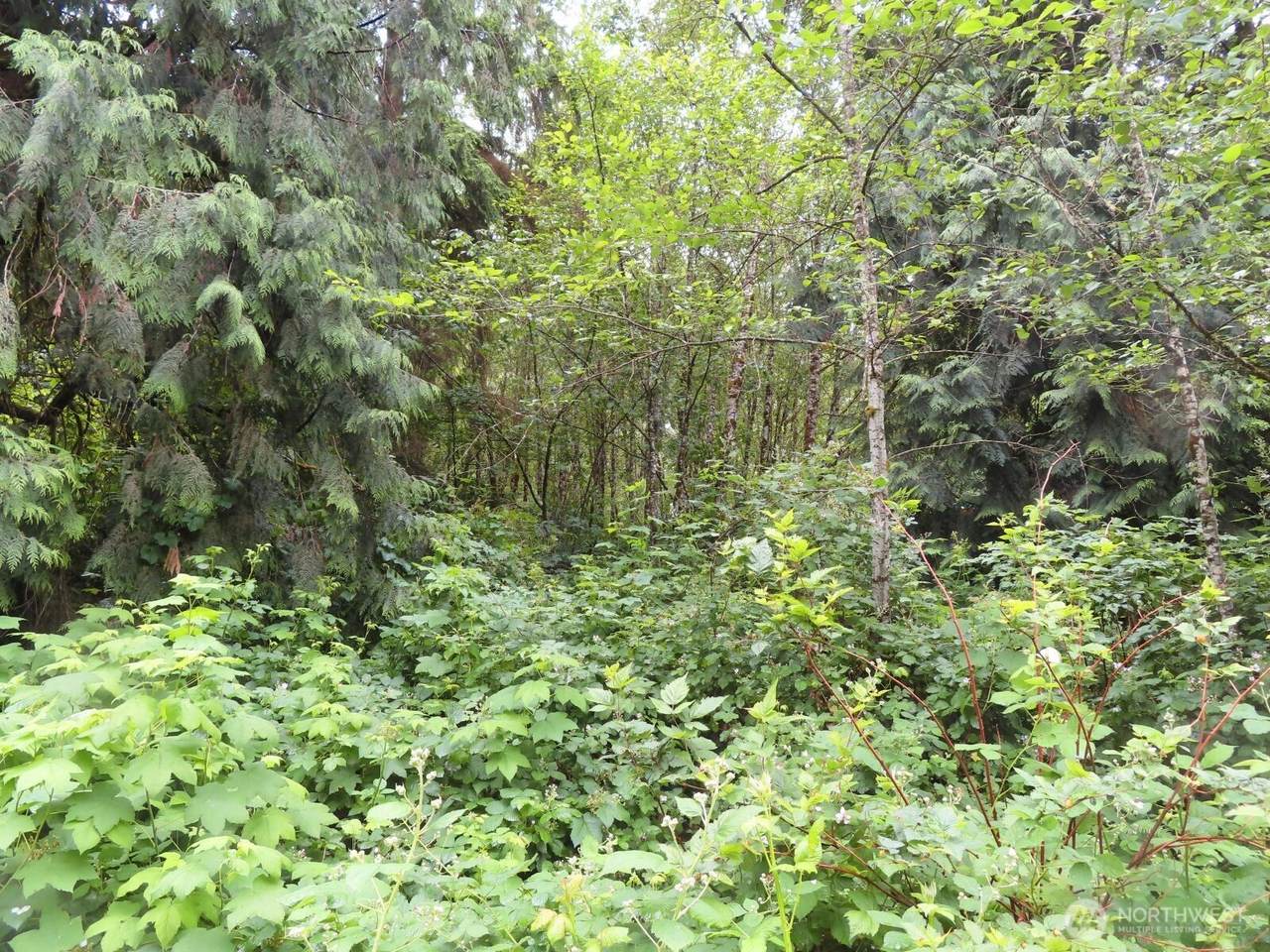 0 xxx Sylvan Way - Photo 1