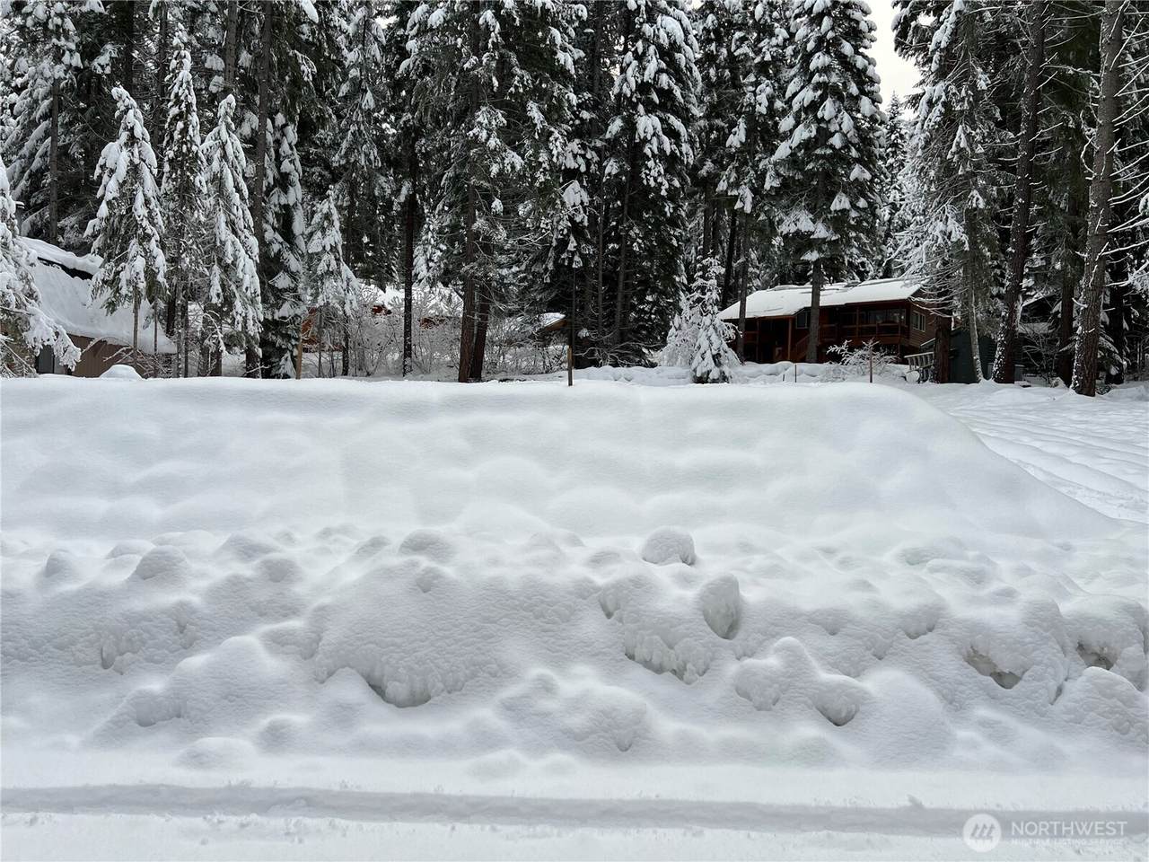 3031 Memory Lane - Photo 1