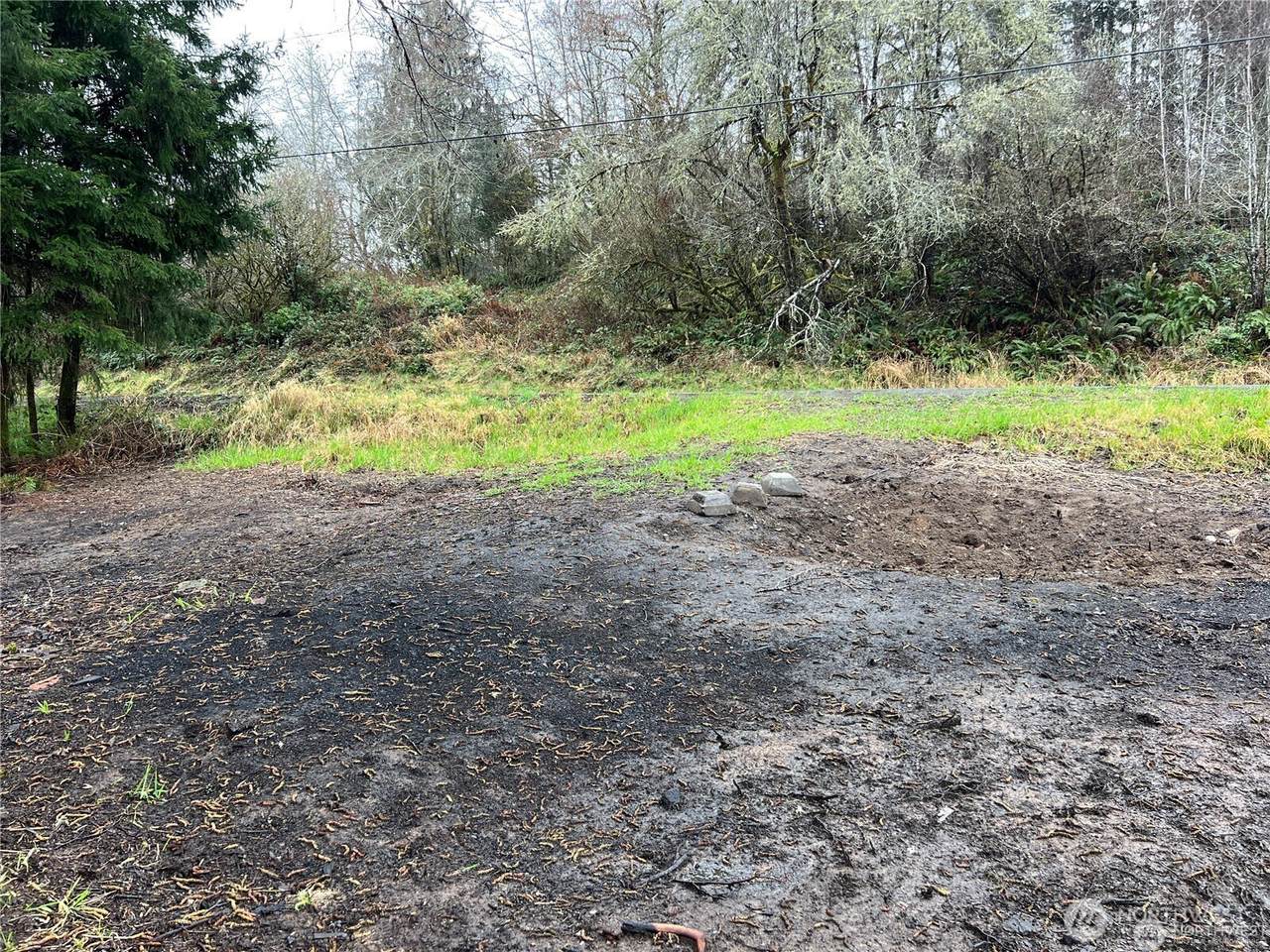 0 X Willapa Road - Photo 1