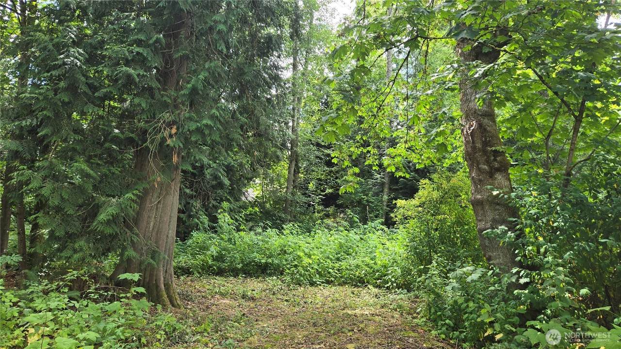 8855 Wood Duck Way - Photo 1