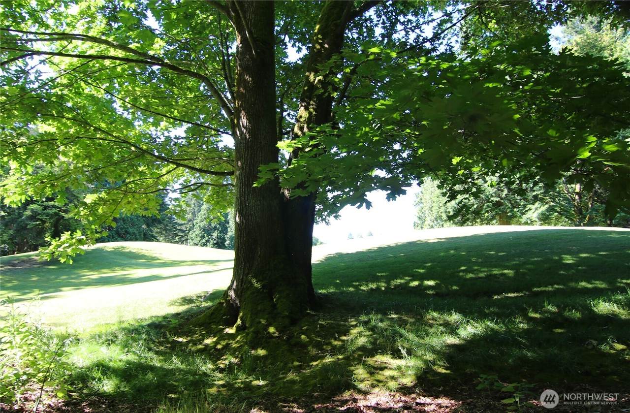 https://bt-photos.global.ssl.fastly.net/nwmls/1280_boomver_1_2539099-1.jpg