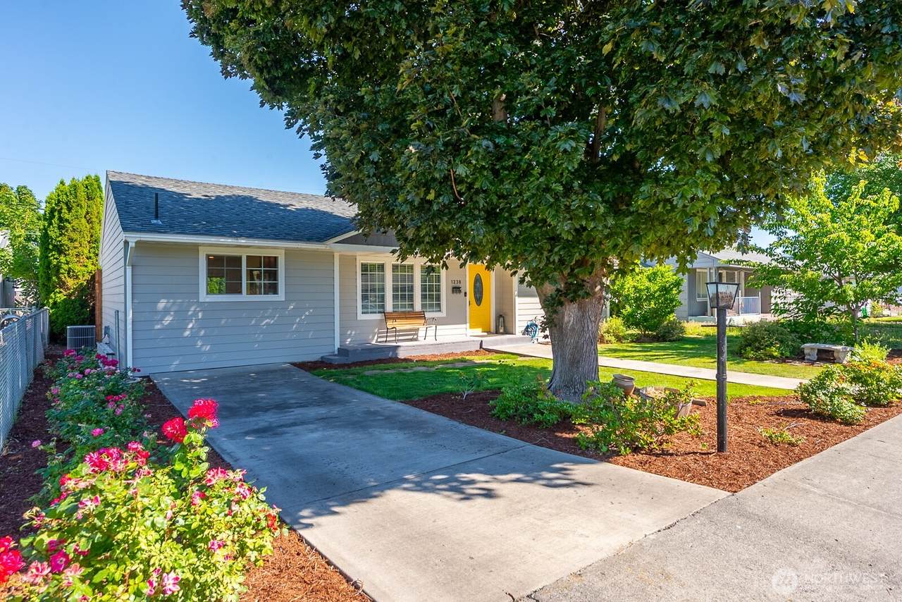 1238 D Street - Photo 1
