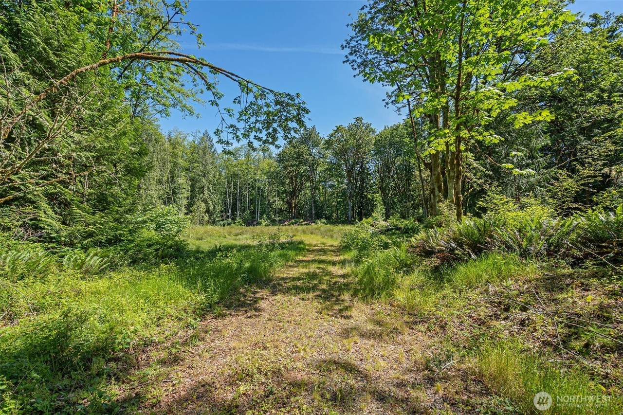 4635 Forest View Lane - Photo 1
