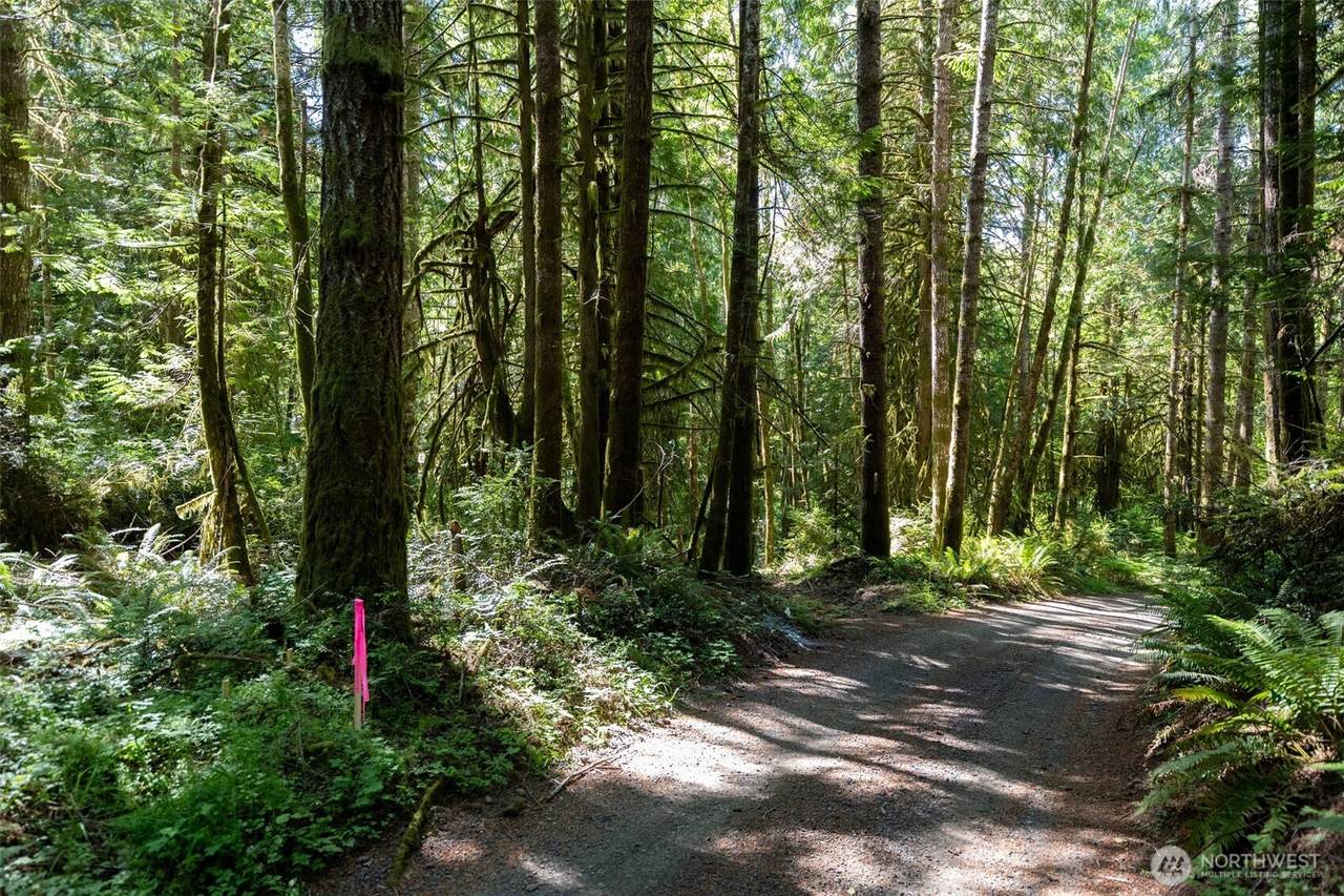 1781 Sunset Hill Road - Photo 1