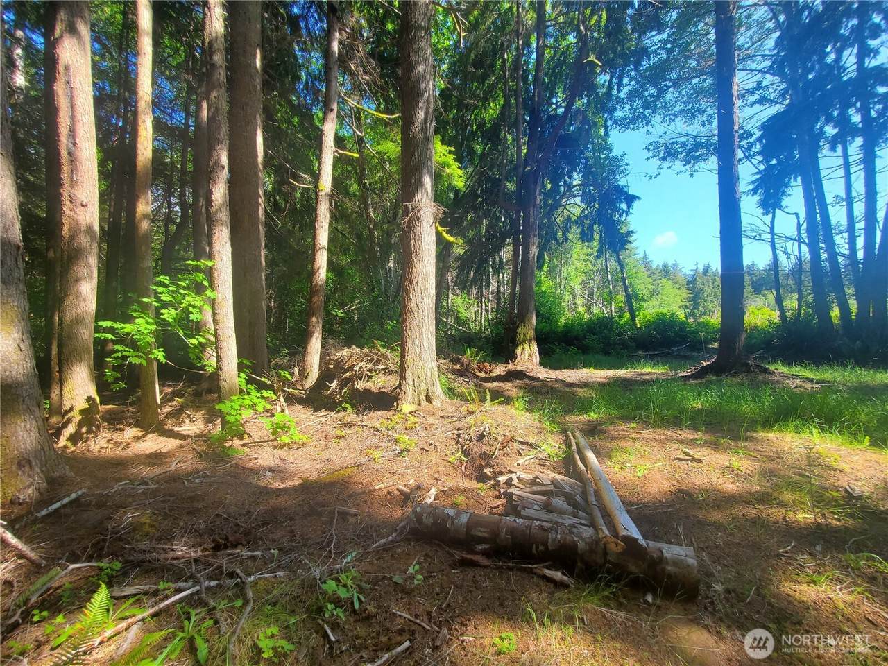 46 A North Shore Place - Photo 1
