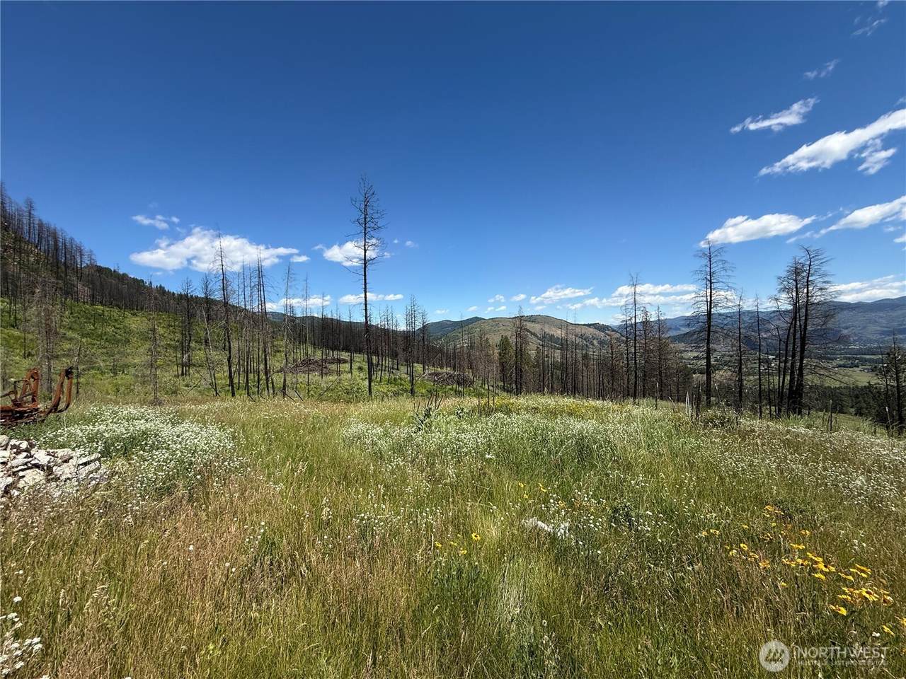 367 4th Of July Creek Road - Photo 1