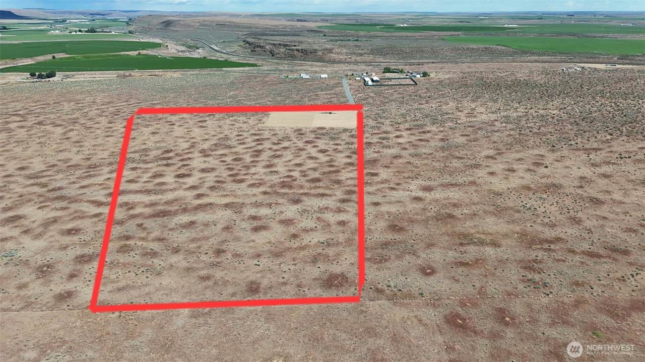 21340 Adrian Road - Photo 1