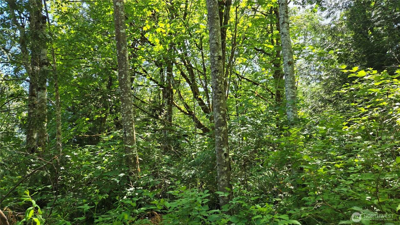 https://bt-photos.global.ssl.fastly.net/nwmls/1280_boomver_1_2542981-1.jpg