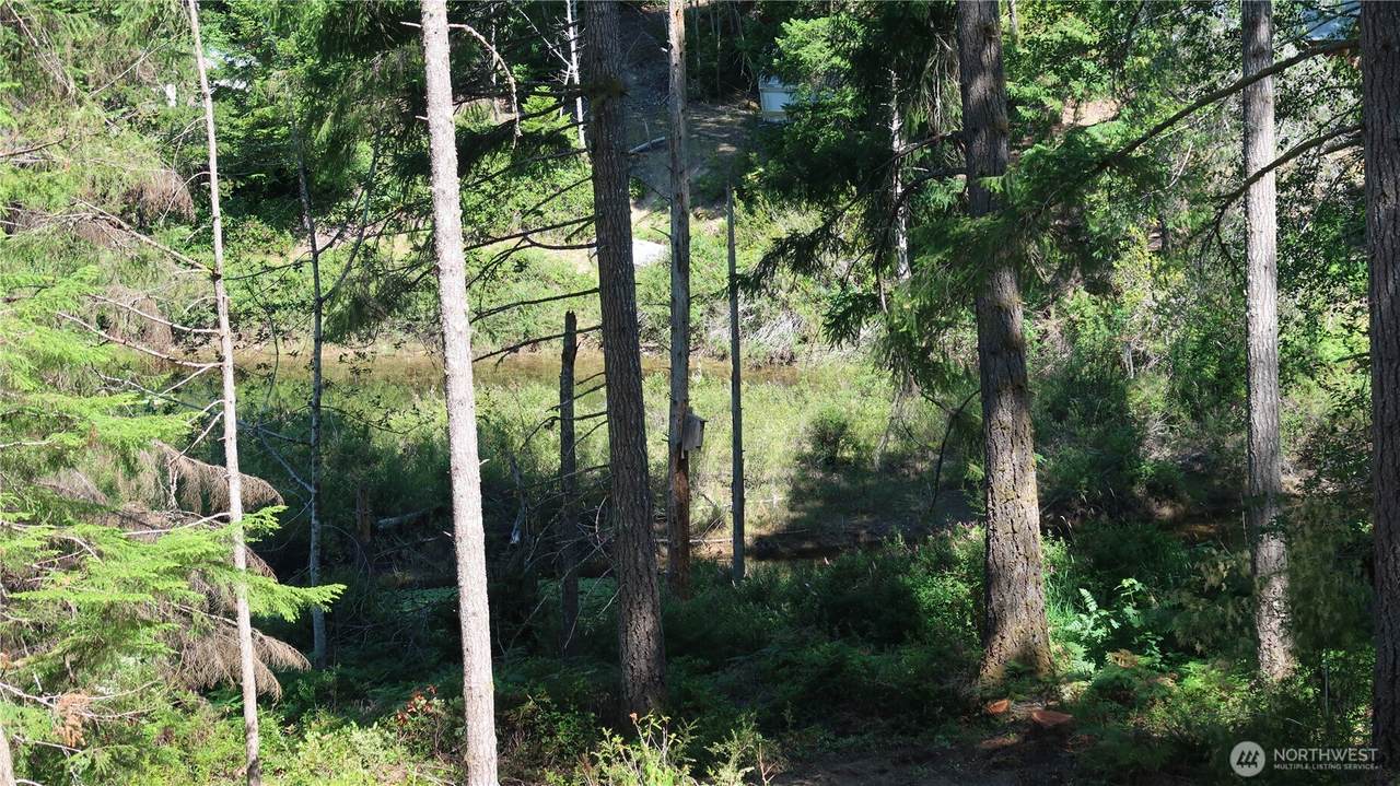 431 Collins Lake Dr. - Photo 1